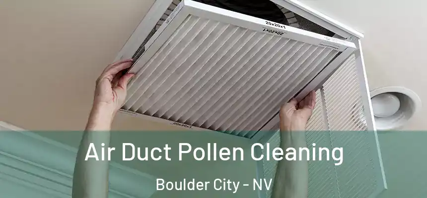  Air Duct Pollen Cleaning Boulder City - NV