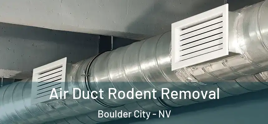  Air Duct Rodent Removal Boulder City - NV