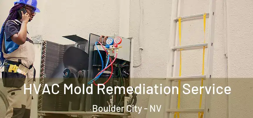  HVAC Mold Remediation Service Boulder City - NV
