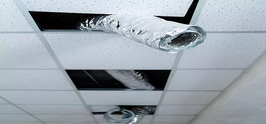 Our Air Duct Pet Hair Removal Services in Boulder City, NV