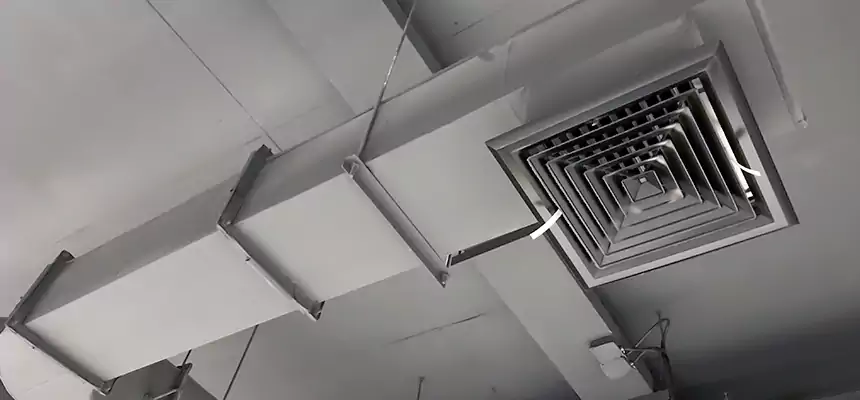 Our Pest Removal From Ducts Services in Boulder City, NV