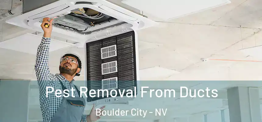 Pest Removal From Ducts Boulder City - NV