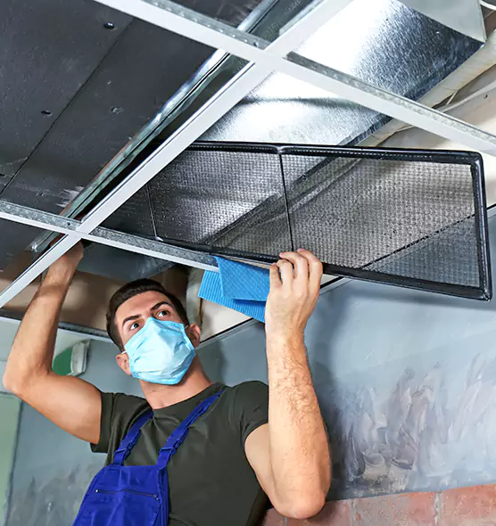 About Air Duct Bacteria Removal in Boulder City