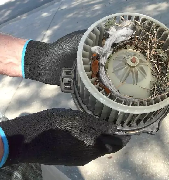 About Air Duct Mice Removal in Boulder City, NV