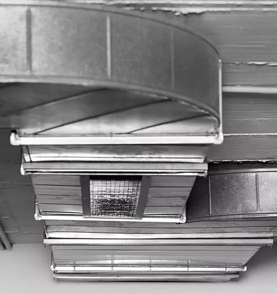 Professional Air Duct Pet Hair Removal in Boulder City, NV