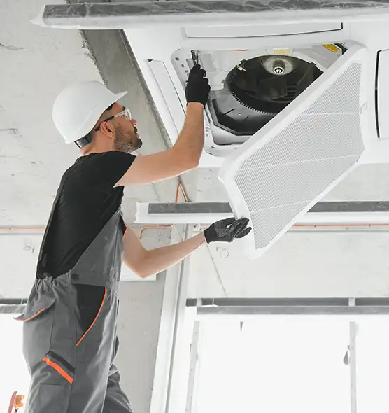 About Air Duct Rodent Removal in Boulder City, NV