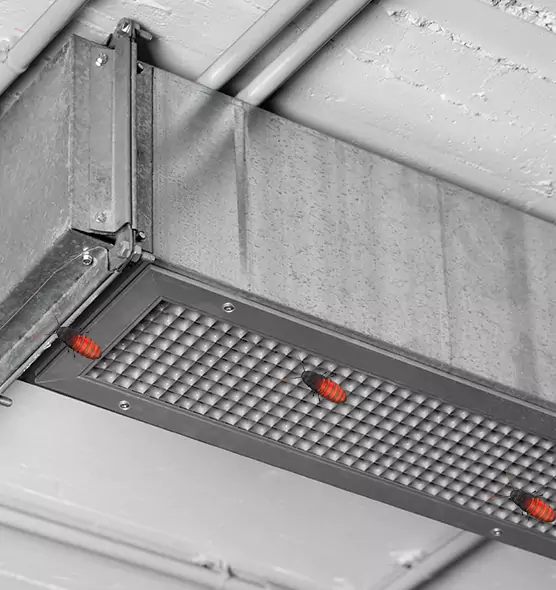 Affordable Insect Removal from Air Ducts in Boulder City, NV