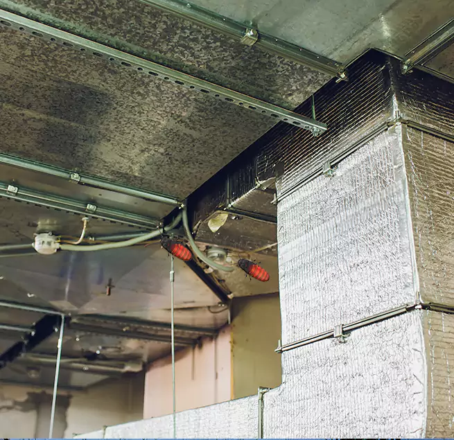 Why Homeowners & Businesses Trust Us in Boulder City, NV?