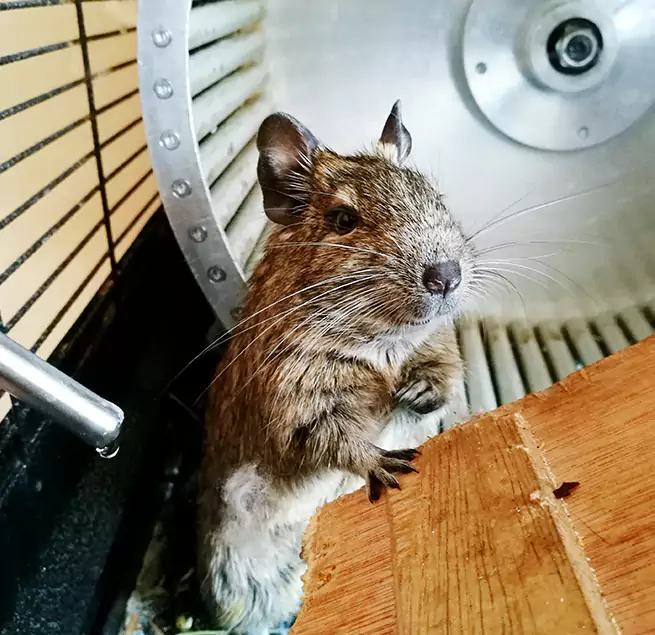 Why Homeowners & Businesses Trust Us Boulder City, NV?