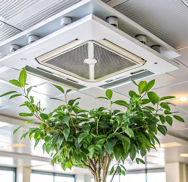 Why Homeowners & Businesses Trust Us in Boulder City, NV